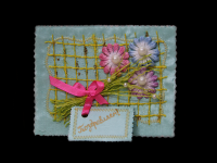 /album/fotogalereya-s-dnyom-rozhdeniya/tric-png1/